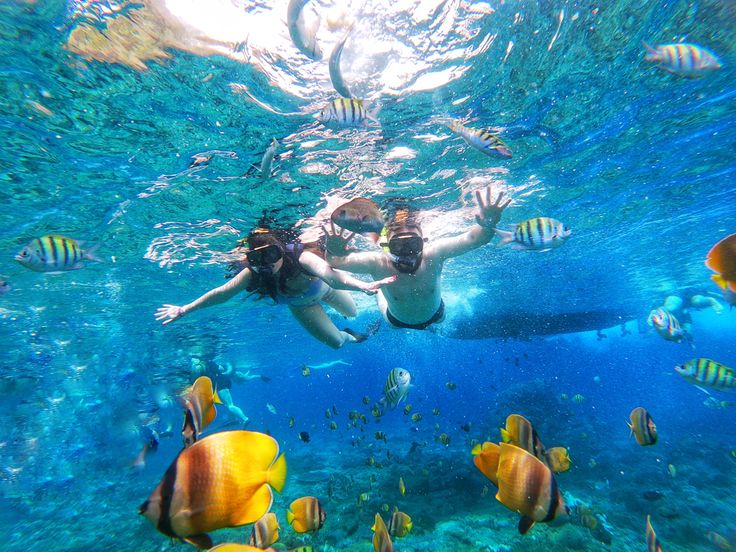 Nusa Penida Dream Honeymoon Ultimate gallery