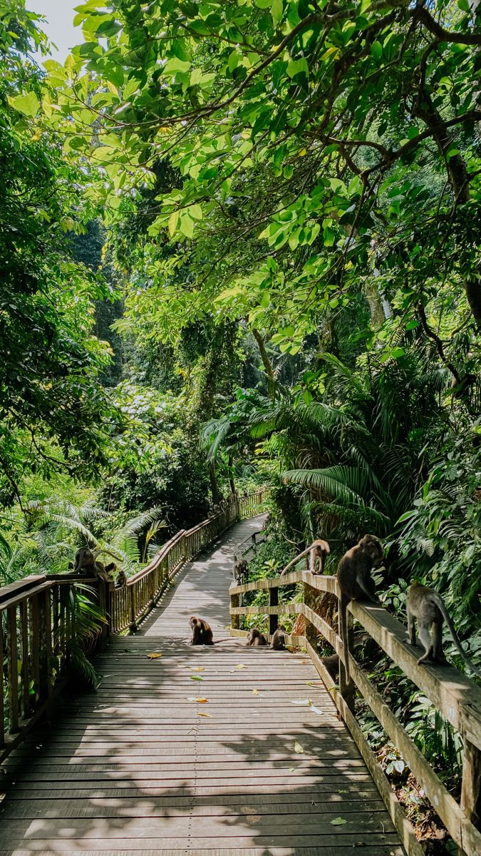 Bali Romantic Paradise Escape gallery
